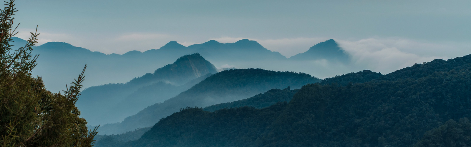 Out and About in Dasyueshan